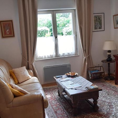 Klipfel Little Venice Кольмар Екстер'єр фото